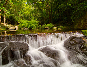 cairns waterfalls