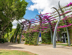 brisbane south bank