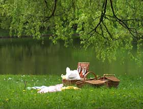 picnic outside 